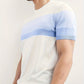Men's Sky Blue Striped Knitted T-Shirt
